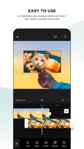 CapCut Pro 2
